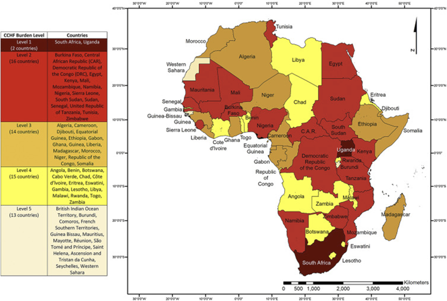 CCHF distribution Africa
